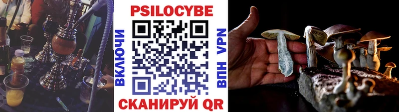 ОМГ ОМГ tor  Брюховецкая  Галлюциногенные грибы GOLDEN TEACHER 